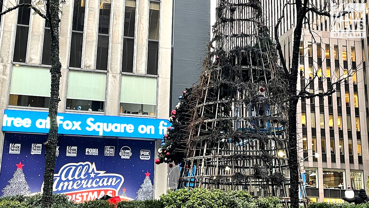 Here's what was left of the tree after the fire Wednesday.