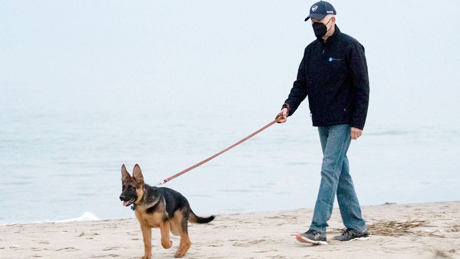 Joe Biden wearing a mask and walking his dog on a beach