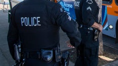 Los Angeles: Suspect with pickaxe walks out of Rite Aid with basket of liquor, cops say