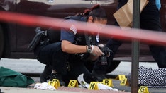 Chicago police make 56+ carjacking arrests, recover 284 illegal guns in 2022 so far, top cop says