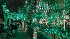 Spectacular Christmas lights have put this New York neighborhood on the map