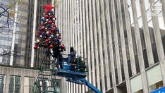 Fox News' All-American Christmas tree to be rebuilt, tree-lighting ceremony will air during 'The Five'