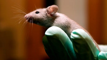 eLife can't confirm many cancer research findings