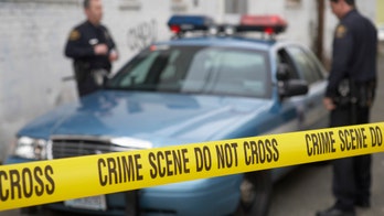 Drive-by shooting in Detroit hits 2-year-old girl