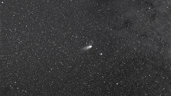 Christmas comet burns brighter as it flies past Earth