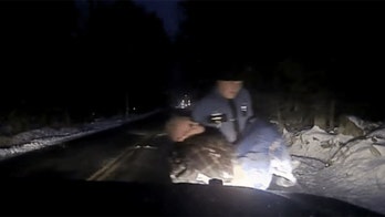 Maine state trooper carries elderly man who wandered off during snowstorm out of roadside ditch: VIDEO