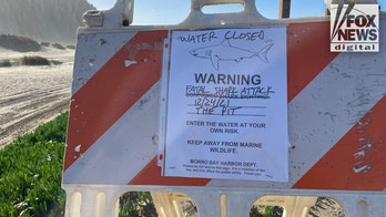 California bodyboarder killed by great white shark: Reports