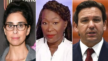 Sarah Silverman slams Joy Reid as media panics about DeSantis' proposed civilian military force in Florida