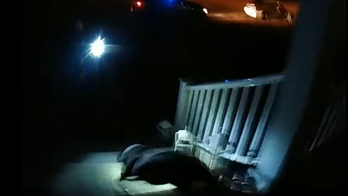 Indiana police officer kicking dog on camera prompts outrage, but police say it's taken out of context