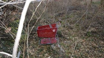 Virginia ‘shopping cart killer’ case flags dating app dangers: They're a ‘toy store’ for murderers