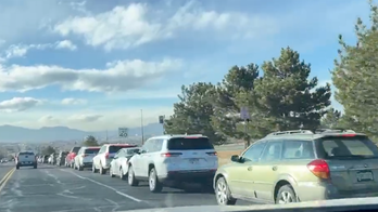 COVID testing debacle hits home as Colorado residents wait hours in mile-long line caught on camera
