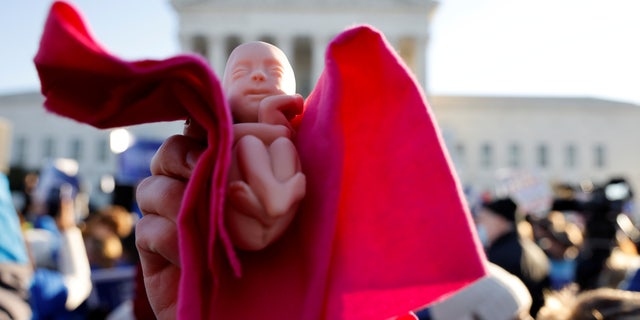 An anti-abortion rights activist holds a baby doll during a protest outside the Supreme Court building, ahead of arguments in the Mississippi abortion rights case Dobbs v. Jackson Women's Health, in Washington, U.S., December 1, 2021. REUTERS/Jonathan Ernst     TPX IMAGES OF THE DAY