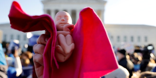 An anti-abortion rights activist holds a baby doll during a protest outside the Supreme Court building, ahead of arguments in the Mississippi abortion rights case Dobbs v. Jackson Women's Health, in Washington, U.S., December 1, 2021. REUTERS/Jonathan Ernst TPX IMAGES OF THE DAY