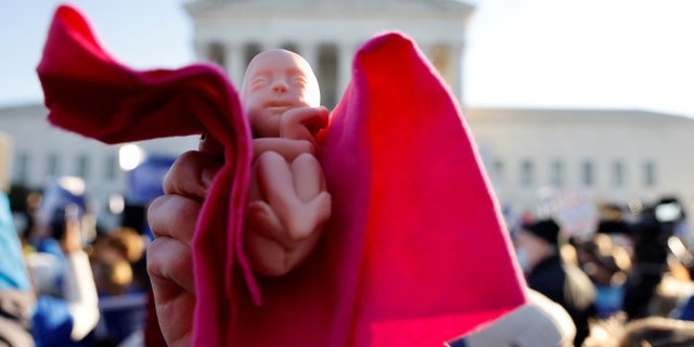 An anti-abortion rights activist holds a baby doll during a protest outside the Supreme Court building, ahead of arguments in the Mississippi abortion rights case Dobbs v. Jackson Women's Health, in Washington, U.S., December 1, 2021. REUTERS/Jonathan Ernst     TPX IMAGES OF THE DAY