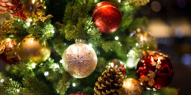 Austin explained that she was away last year, so she didn’t look for her decorations until this year.