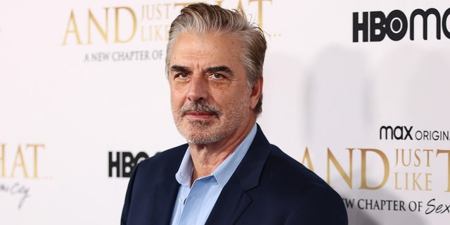 Chris Noth played Mr. Big in the "Sex and the City" franchise.