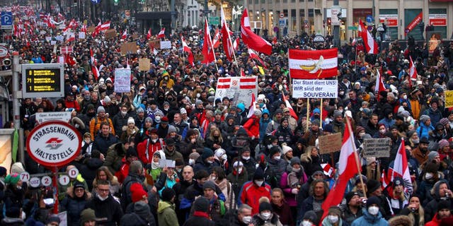 Demonstrators hold flags and placards as they march to protest against the coronavirus disease (COVID-19) restrictions and the vaccine mandate in Vienna, Austria (Reuters)