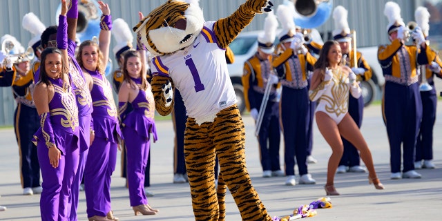 The LSU marching band and mascot perform as new football coach Brian Kelly arrives at Baton Rouge Metropolitan Airport, Tuesday, Nov. 30, 2021, in Baton Rouge, La. Kelly, formerly of Notre Dame, is said to have agreed to a 10-year contract with LSU worth $95 million plus incentives.
