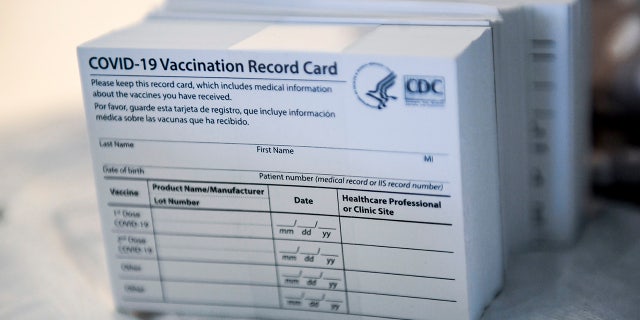 A stack of COVID-19 Vaccination Record Cards from the CDC. (Photo by Ben Hasty/MediaNews Group/Reading Eagle via Getty Images)