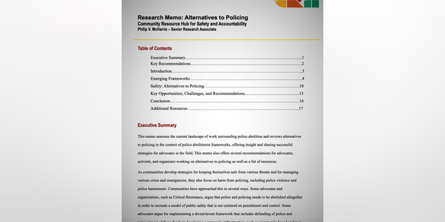 Screenshot of Community Resource Hub's Alternatives to Policing memo