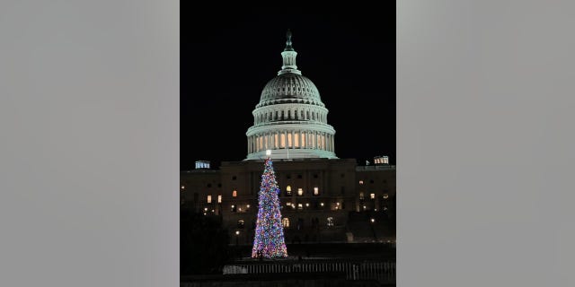 The Capitol building in Washington, D.C. decorated for the holiday season.