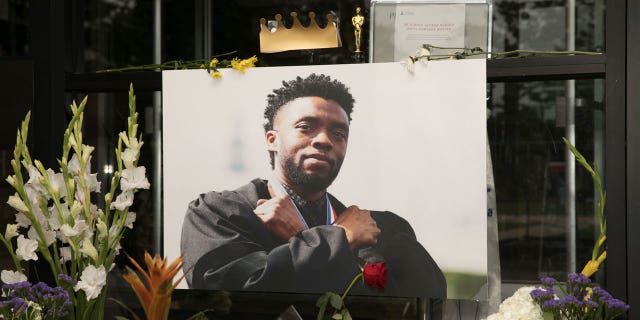 Chadwick Boseman's brother Derrick has joined the movement to have the late actor's "Black Panther" character recast.
