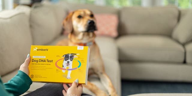 Embark Dog DNA Test – Breed + Health Kit