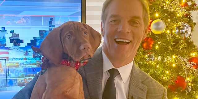 Anchor Bill Hemmer holding Percy.