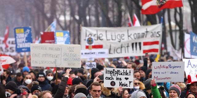 Demonstrators hold flags and placards as they march to protest against the coronavirus disease (COVID-19) restrictions and the vaccine mandate in Vienna, Austria (Reuters)