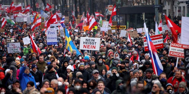 Demonstrators hold flags and placards as they march to protest against the coronavirus disease (COVID-19) restrictions and the vaccine mandate in Vienna, Austria (Reuters)