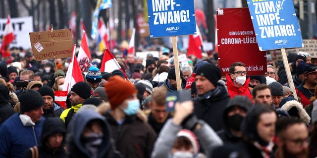 Demonstrators hold flags and placards as they march to protest against the coronavirus disease (COVID-19) restrictions and the vaccine mandate in Vienna, Austria (Reuters)