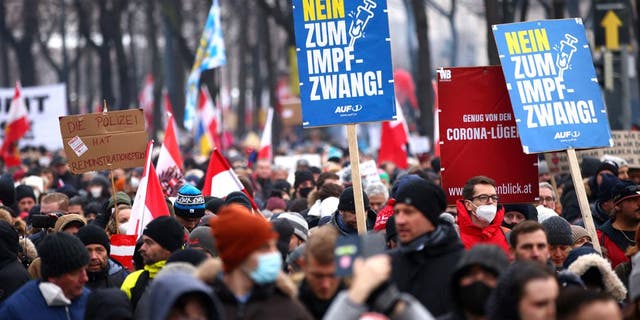 Demonstrators hold flags and placards as they march to protest against the coronavirus disease (COVID-19) restrictions and the vaccine mandate in Vienna, Austria (Reuters)