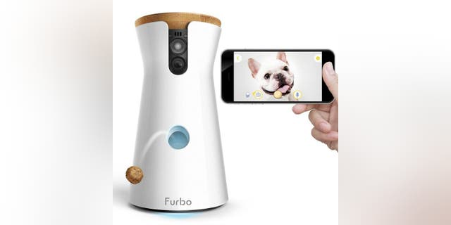 Cámara para perros Furbo.  La última cámara para mascotas de Furbo te permite tomar vistas de 360 ​​grados.  En este podcast, obtuve siete características nuevas y emocionantes dentro de iOS 16: piratería de tomas de acción. 