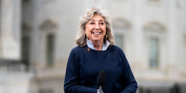 Rep. Dina Titus, D-Nev., does a TV interview outside of the U.S. Capitol before a House vote on Thursday, April 23, 2020.