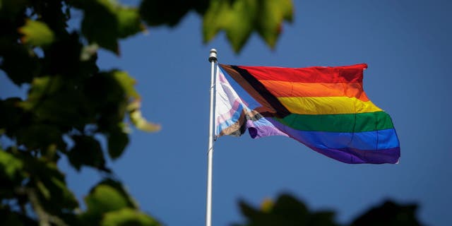 Trans flag flying