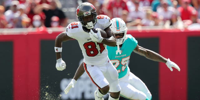 Tampa Bay Buccaneers Wide Receiver Antonio Brown (81) makes a catch and goes the distance for the score during the regular season game between the Miami Dolphins and the Tampa Bay Buccaneers on October 10, 2021 at Raymond James Stadium in Tampa, Florida. 