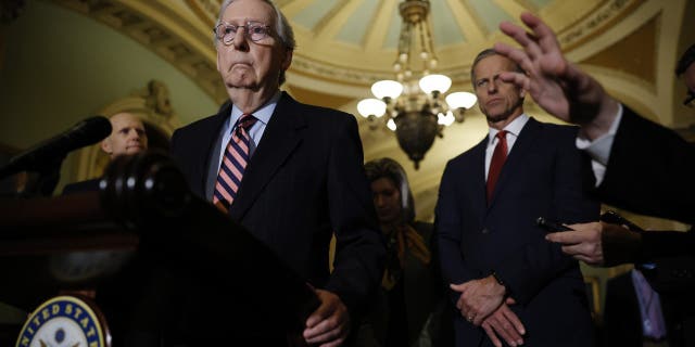 Senator Elizabeth Warren declared Senate Minority Leader Mitch McConnell "hijacked the United States Supreme Court" by denying "even a hearing for President Obama's highly qualified candidate. (Photo by Chip Somodevilla / Getty Images)