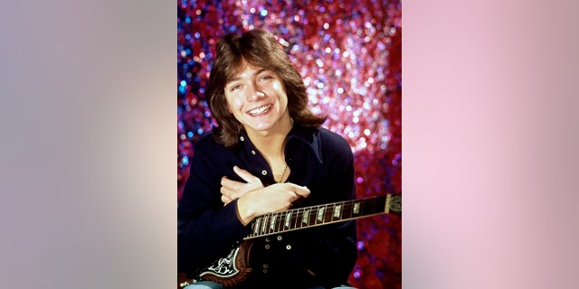 David Cassidy was one of the teen idols in the 70's.