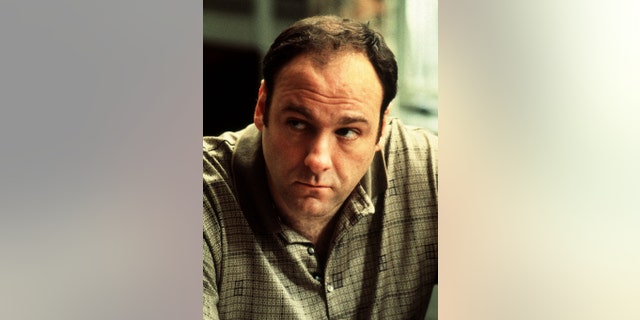 Actor James Gandolfini allegedly didn't take the news of an intervention too well.