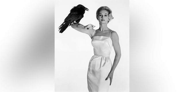 Tippi Hedren starred in the Alfred Hitchcock movie "the birds," Based on the suspense thriller by Daphne du Maurier.