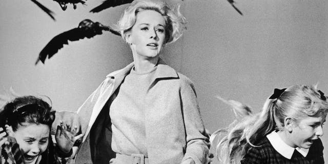 Tippi Hedren, who made her mark in "The Birds," said that "Marnie" was her last film with Alfred Hitchcock.