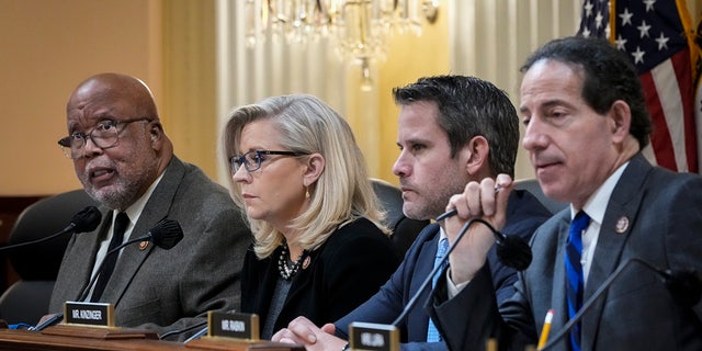 (L-R) Rep. Bennie Thompson (D-MS), chair of the select committee investigating the January 6 attack on the Capitol, speaks as Rep. Liz Cheney (R-WY), vice-chair of the select committee investigating the January 6 attack on the Capitol,  Rep. Adam Kinzinger (R-IL)  and Rep. Jamie Raskin (D-MD) listen during a committee meeting on Capitol Hill.