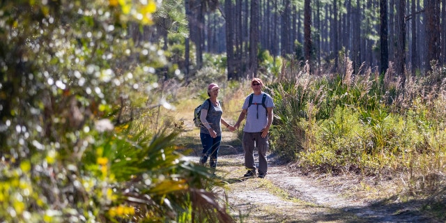 Chris and Roberta Laundrie at the Myakkahatchee Creek nature reserve Tuesday.