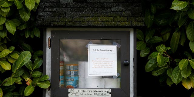 A Little Free Library has been turned into a small pantry with household items like toilet paper and canned foods near Franklin High School during the coronavirus disease (COVID-19) outbreak in Seattle, Washington, U.S. March 30, 2020. REUTERS/Lindsey Wasson