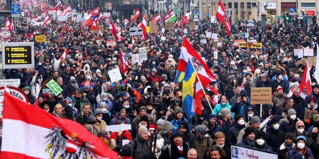 Demonstrators hold flags and placards as they march to protest against the coronavirus disease (COVID-19) restrictions and the vaccine mandate in Vienna, Austria (Reuters)