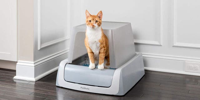 PetSafe ScoopFree Self-Cleaning Litter Box