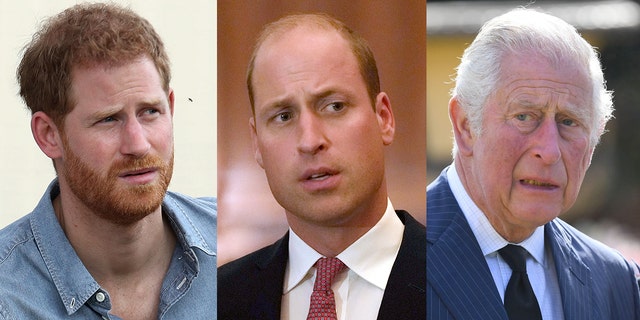 Author Christopher Andersen alleged that Prince William (센터) and Prince Charles (권리) told Prince Harry (왼쪽) he was ‘oversensitive.’