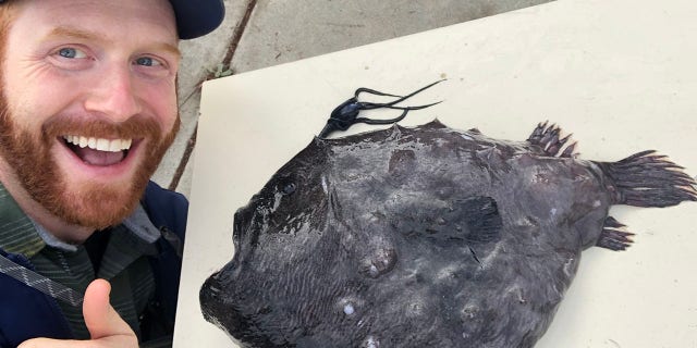 Ben Frable, Collection Manager of Marine Vertebrates at Scripps recovered the most recent football fish.