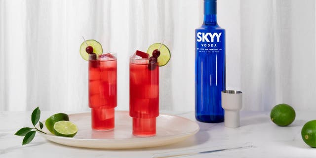 Skyy Vodka shares its red Winter Sparkling Sangria recipe with Fox News in time for National Sangria Day.