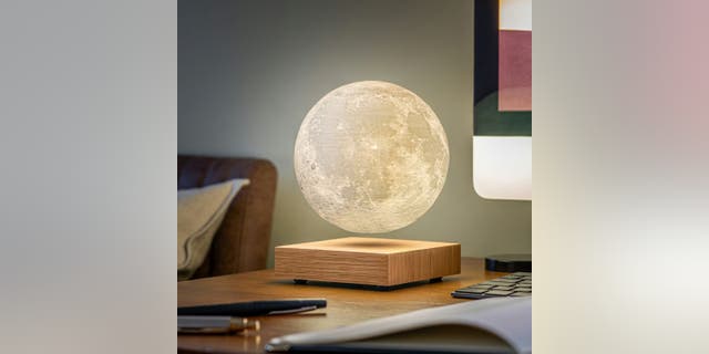 Post Gingko custom-made smart moon lamp